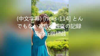 (中文字幕) [hoks-114] とんでもない家族の性交の記録 冬の近親相姦