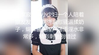 在家寂寞的小少妇一个人陪着狼友发骚，跳弹自慰骚逼揉奶子，蝴蝶骚逼淫声荡语淫水非常多，精彩刺激别错过