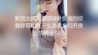 新流出情趣酒店绿叶房偷拍纹身胖哥和丸子头美乳少妇开房激情骑坐鸡巴