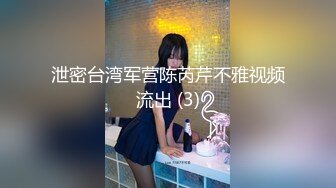 泄密台湾军营陈芮芹不雅视频流出 (3)