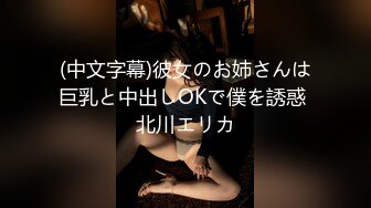 (中文字幕)彼女のお姉さんは巨乳と中出しOKで僕を誘惑 北川エリカ