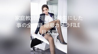 家庭教師が巨乳受験生にした事の全記録 隠撮カメラFILE 月本愛